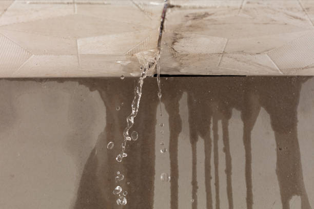 Professional Water Extraction technician working in Farmingville, NY
